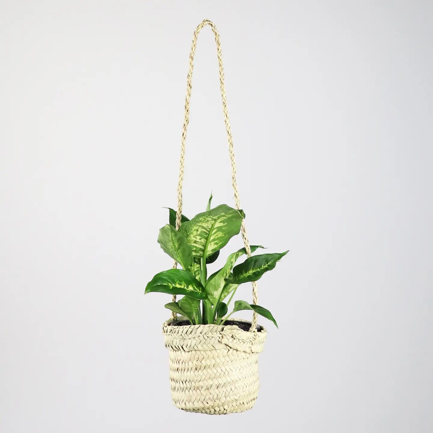 Acadia Straw Plant Hanger