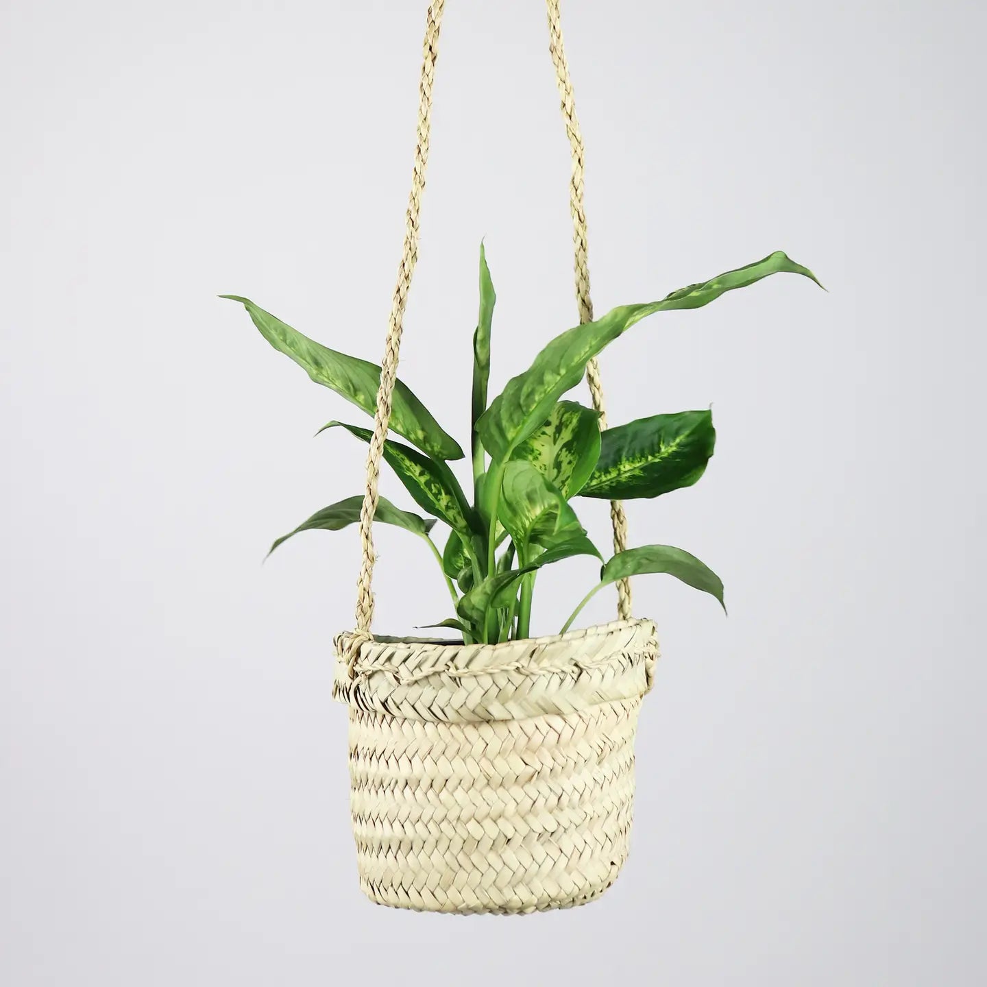 Acadia Straw Plant Hanger